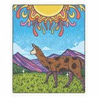 IMAN LLAMA SOL