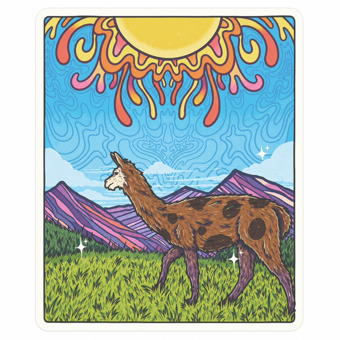 IMAN LLAMA SOL