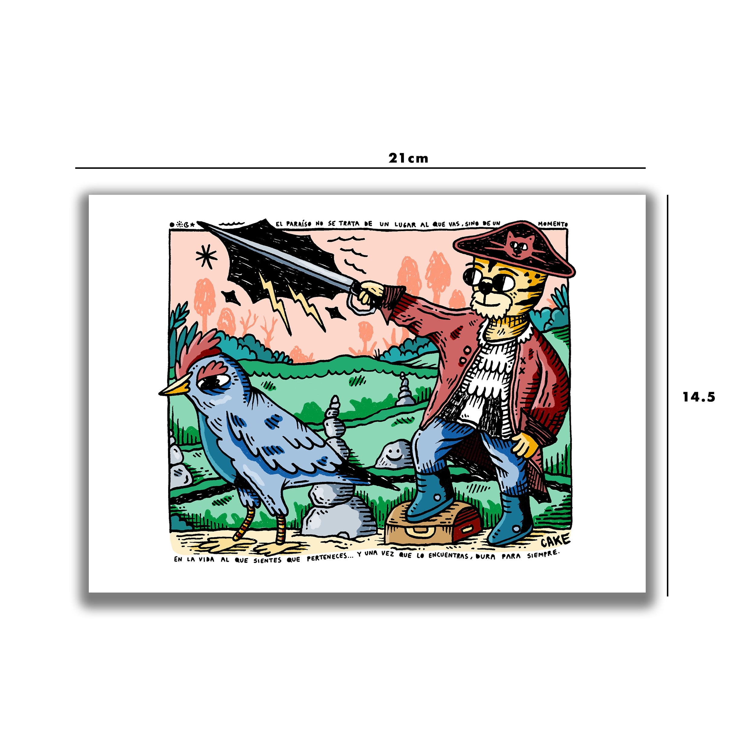 PRINT GATO PIRATA